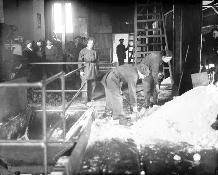 Feeding nitre, HM Factory Gretna, 1918
