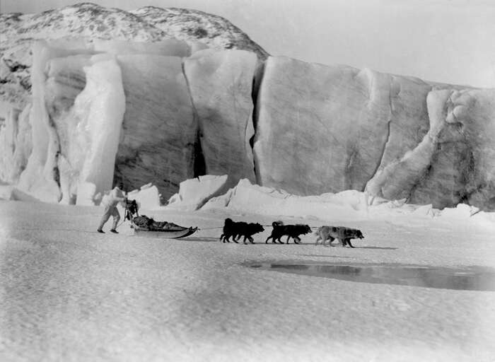 The Arctic explorer Martin Lindsay with huskies and sledge, 1930-1931