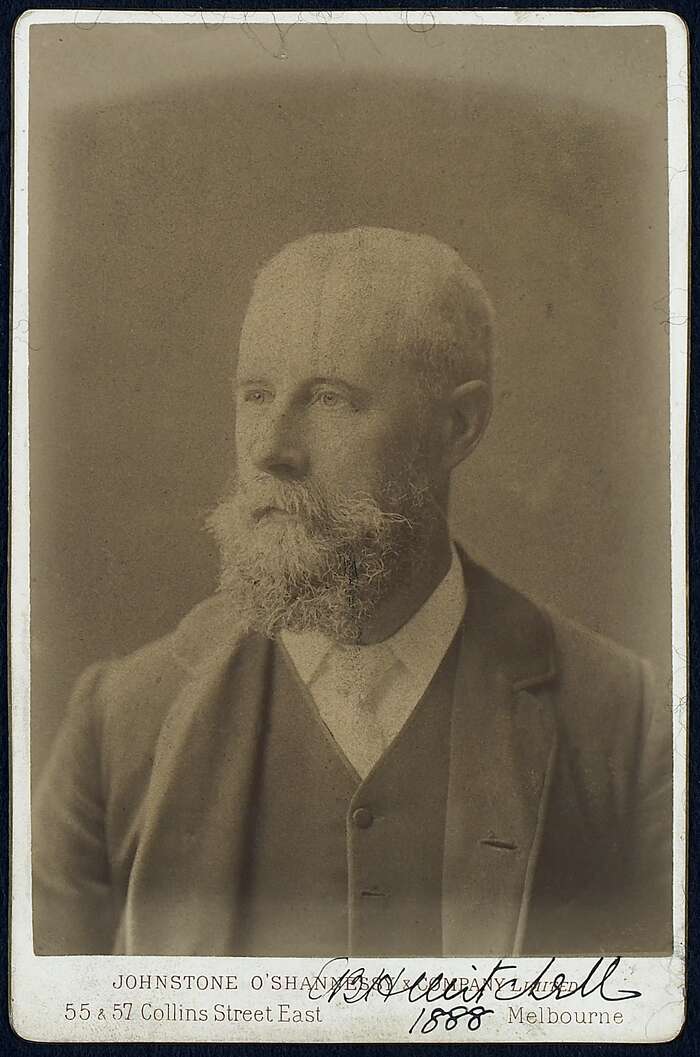 Studio portrait of a bearded man