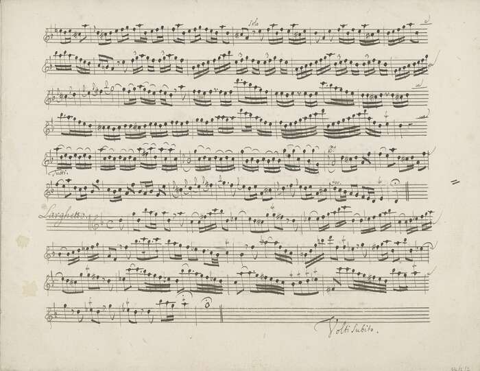 'll Gran Mogol' Concerto for flute, strings and continuo in D minor