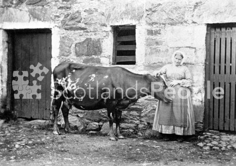 Farm servant with cow, Glen Creran, 1866