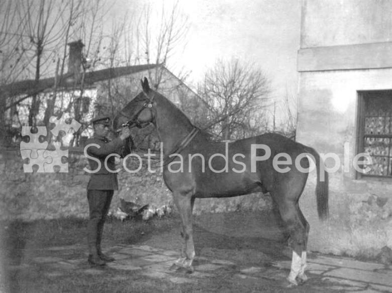 British soldier holding an officer's horse by the halter