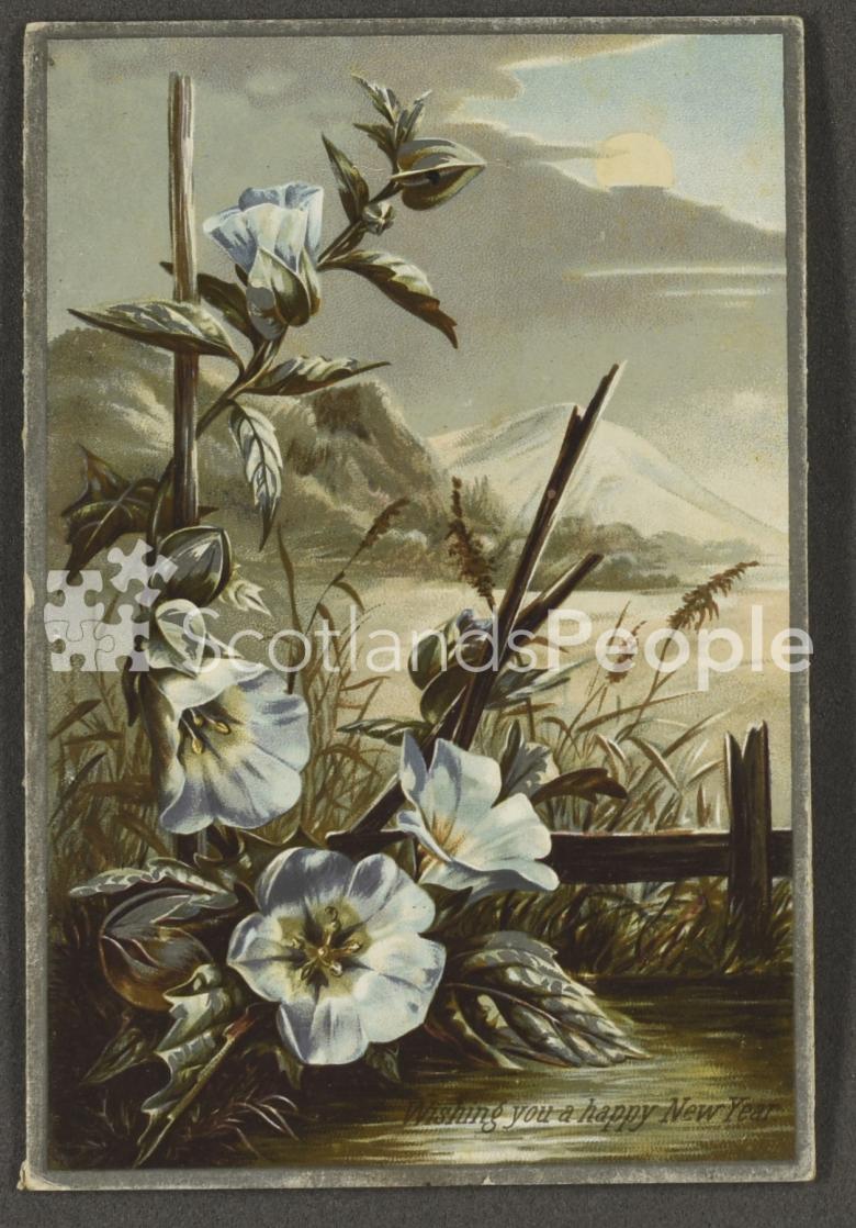 New Years greetings card depicting flowers in a winter scene