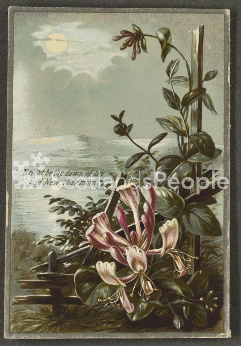 New Years greetings card depicting flowers in a winter scene