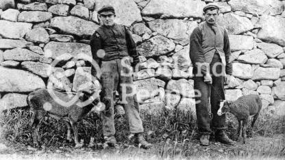 St Kildan men with Soay sheep