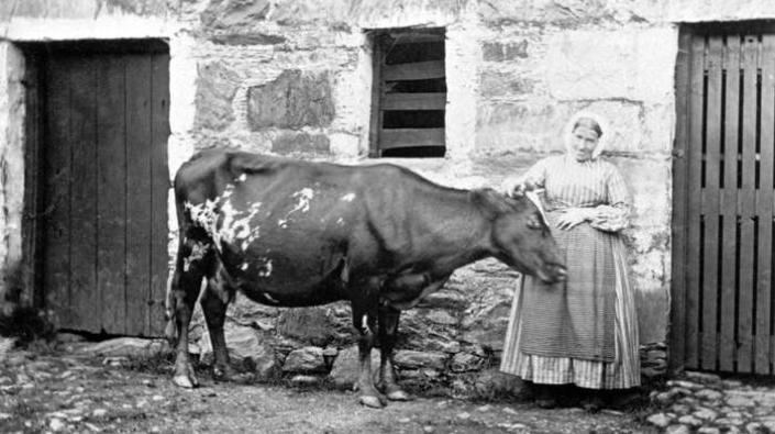 Farm servant with cow, Glen Creran, 1866