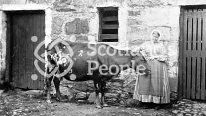 Farm servant with cow, Glen Creran, 1866 Farm servant with cow, Glen Creran, 1866