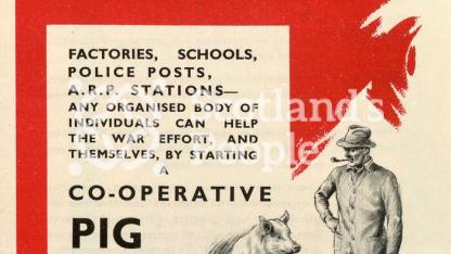 Pig club poster, c 1940 Pig club poster, c 1940