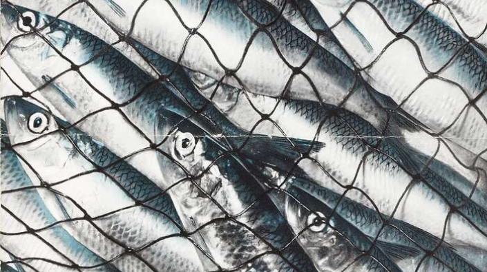 British fishing industry promotional poster