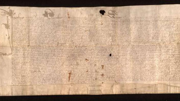 Royal charter (1585)