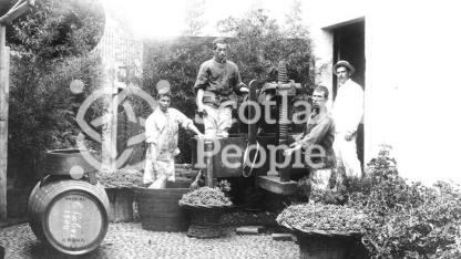 Treading the grapes