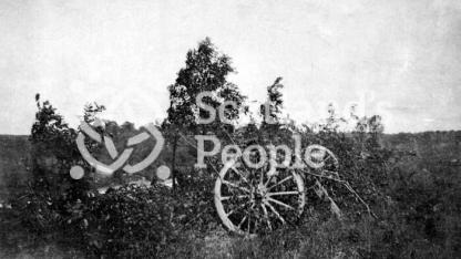Artillery piece camouflaged with branches on the Western Front Artillery piece camouflaged with branches on the Western Front