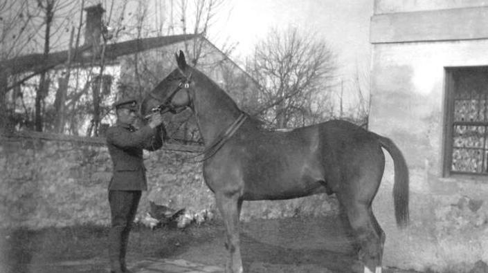 British soldier holding an officer's horse by the halter