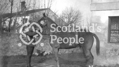 British soldier holding an officer's horse by the halter British soldier holding an officer's horse by the halter