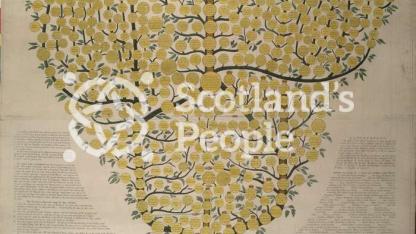 An Historical and Genealogical Tree of the Royal Family of Scotland An Historical and Genealogical Tree of the Royal Family of Scotland