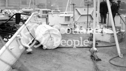 HMAS Australia (512) HMAS Australia (512)