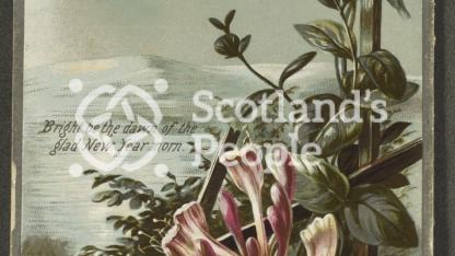 New Years greetings card depicting flowers in a winter scene