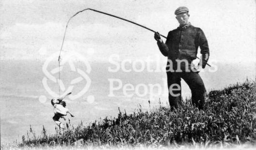 Puffin catcher with fowling rod Puffin catcher with fowling rod