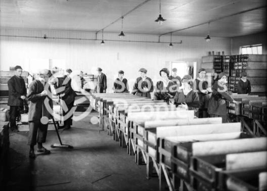 Packing cordite HM Factory Gretna 1918 Packing cordite HM Factory Gretna 1918