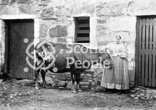Farm servant with cow, Glen Creran, 1866 Farm servant with cow, Glen Creran, 1866