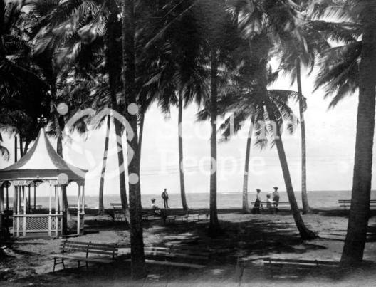 Park in San Juan, Puerto Rico, 1905 Park in San Juan, Puerto Rico, 1905