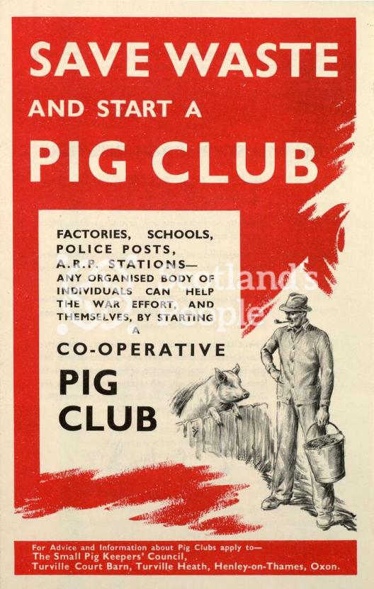Pig club poster, c 1940 Pig club poster, c 1940