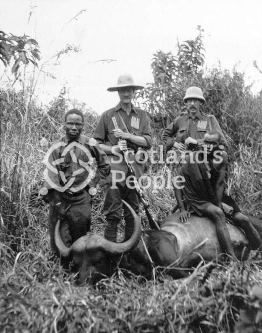 Hunters and Masai with a buffalo, Kenya, 1910 Hunters and Masai with a buffalo, Kenya, 1910