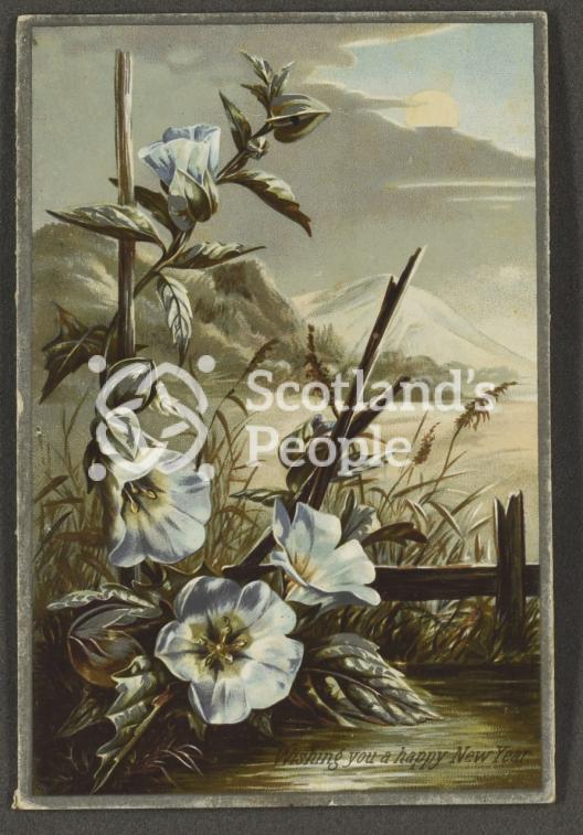 New Years greetings card depicting flowers in a winter scene