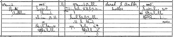 Birth entry for David Beatty Ambler, 2 September 1915