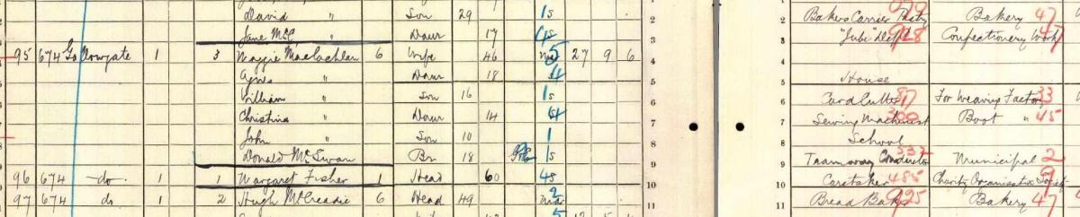 Donald MacSwan enumerated in the 1911 census. NRS, Crown copyright, 1911 census, 644/2 5/14