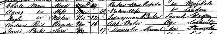 1861 census detail for Andrew Reid