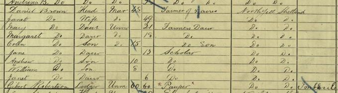 Some of the members of the Brown family enumerated in the 1881 Census with a lodger, Gilbert Robertson.