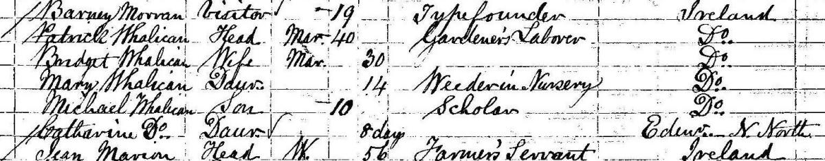 Whelahan family in 1861 census